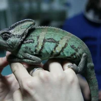Ветеринарный центр Жизнь на Харьковской улице Фото 2 на проекте Omsk.vetspravka.ru Ветеринарный центр Жизнь на Харьковской улице Фото 2 на проекте Omsk.vetspravka.ru