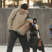 Областной центр спортивно-служебного собаководства Фото 2 на проекте Omsk.vetspravka.ru Областной центр спортивно-служебного собаководства Фото 2 на проекте Omsk.vetspravka.ru