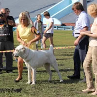 Кинологический клуб Дайна Фото 2 на проекте Omsk.vetspravka.ru Кинологический клуб Дайна Фото 2 на проекте Omsk.vetspravka.ru