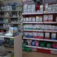 Клиника Хатико Фото 2 на проекте Omsk.vetspravka.ru Клиника Хатико Фото 2 на проекте Omsk.vetspravka.ru