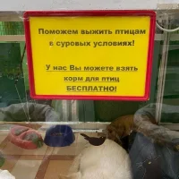 Зоомаркет Зайцы Фото 2 на проекте Omsk.vetspravka.ru Зоомаркет Зайцы Фото 2 на проекте Omsk.vetspravka.ru