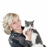 Клуб любителей кошек Добрый Кот Фото 2 на проекте Omsk.vetspravka.ru