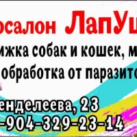 Зоосалон ЛапУшки на проекте Omsk.vetspravka.ru Зоосалон ЛапУшки на проекте Omsk.vetspravka.ru