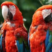 Ветеринарная клиника АнимА Фото 2 на проекте Omsk.vetspravka.ru Ветеринарная клиника АнимА Фото 2 на проекте Omsk.vetspravka.ru