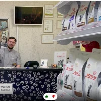 Ветеринарная клиника ВертиХвостик Фото 2 на проекте Omsk.vetspravka.ru Ветеринарная клиника ВертиХвостик Фото 2 на проекте Omsk.vetspravka.ru
