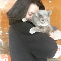 Гостиница для кошек и собак BookingCat Фото 2 на проекте Omsk.vetspravka.ru Гостиница для кошек и собак BookingCat Фото 2 на проекте Omsk.vetspravka.ru