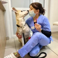 Многопрофильный клинико-диагностический ветеринарный центр ЕВРОВЕТ на улице Петухова Фото 2 на проекте Omsk.vetspravka.ru Многопрофильный клинико-диагностический ветеринарный центр ЕВРОВЕТ на улице Петухова Фото 2 на проекте Omsk.vetspravka.ru